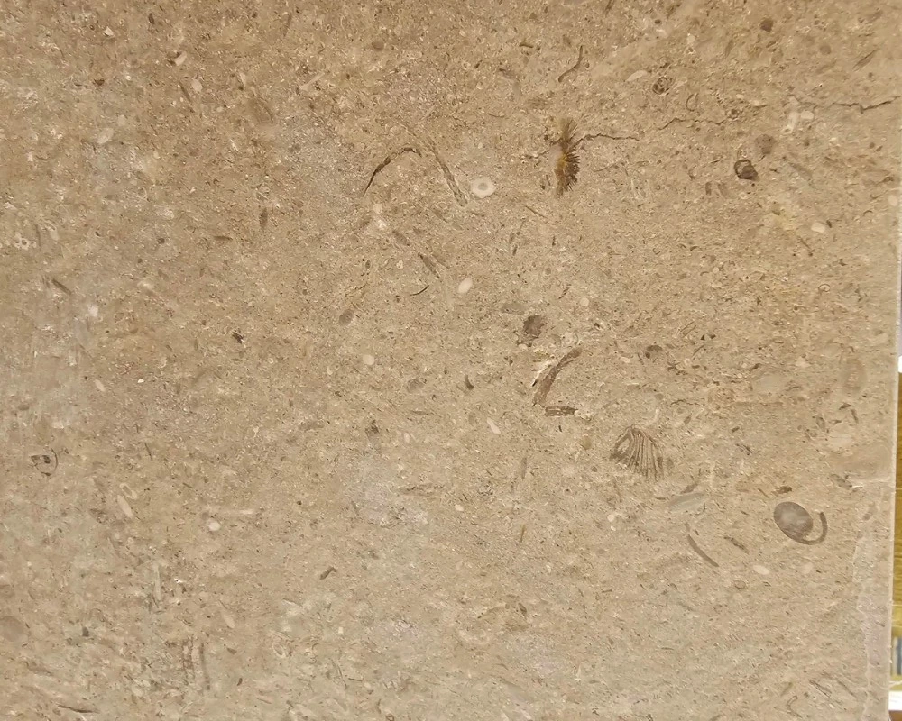 German Red Limestone, Natural Beige Stone with Fossils for Villa Exterior