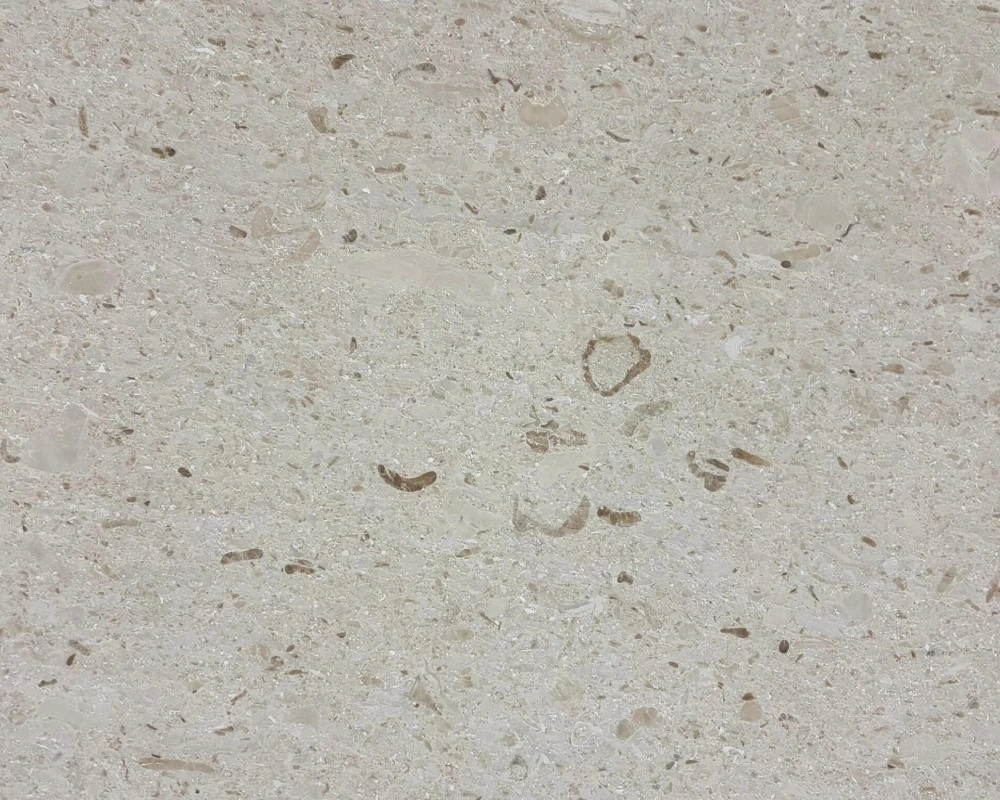 Beige Fossil Limestone, Natural Beige Stone with Shell Fragments for Villa Cladding
